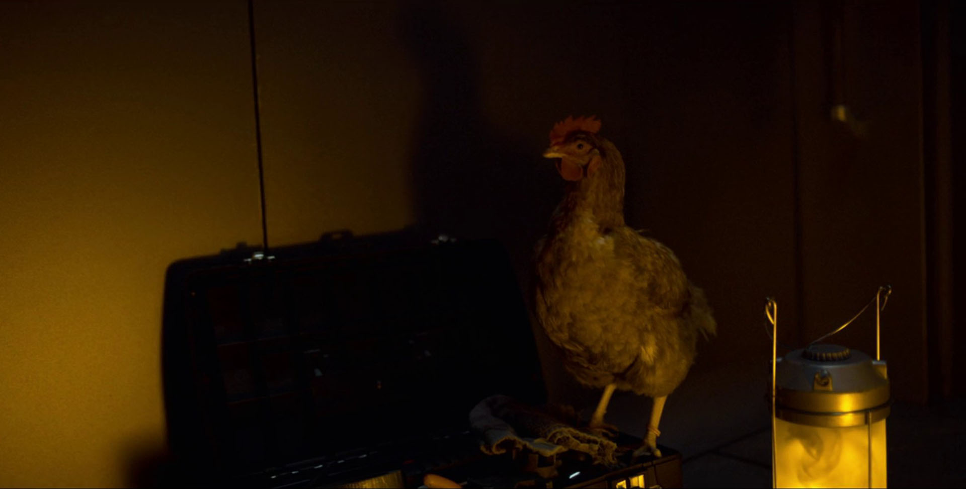 debbie-the-chicken